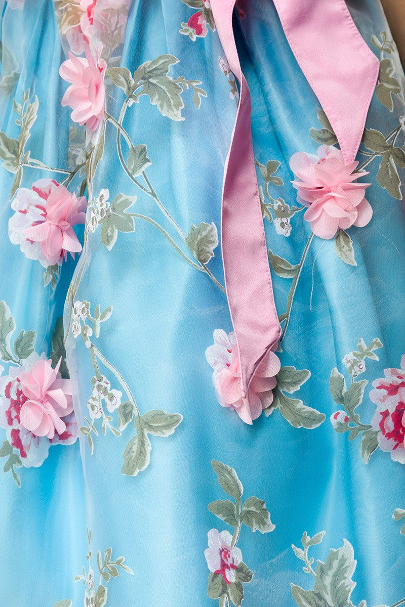 Dirndl mit Blumenschürze